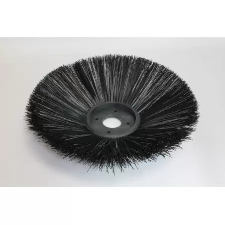 BROSSE LATERALE PPL/ACIER...